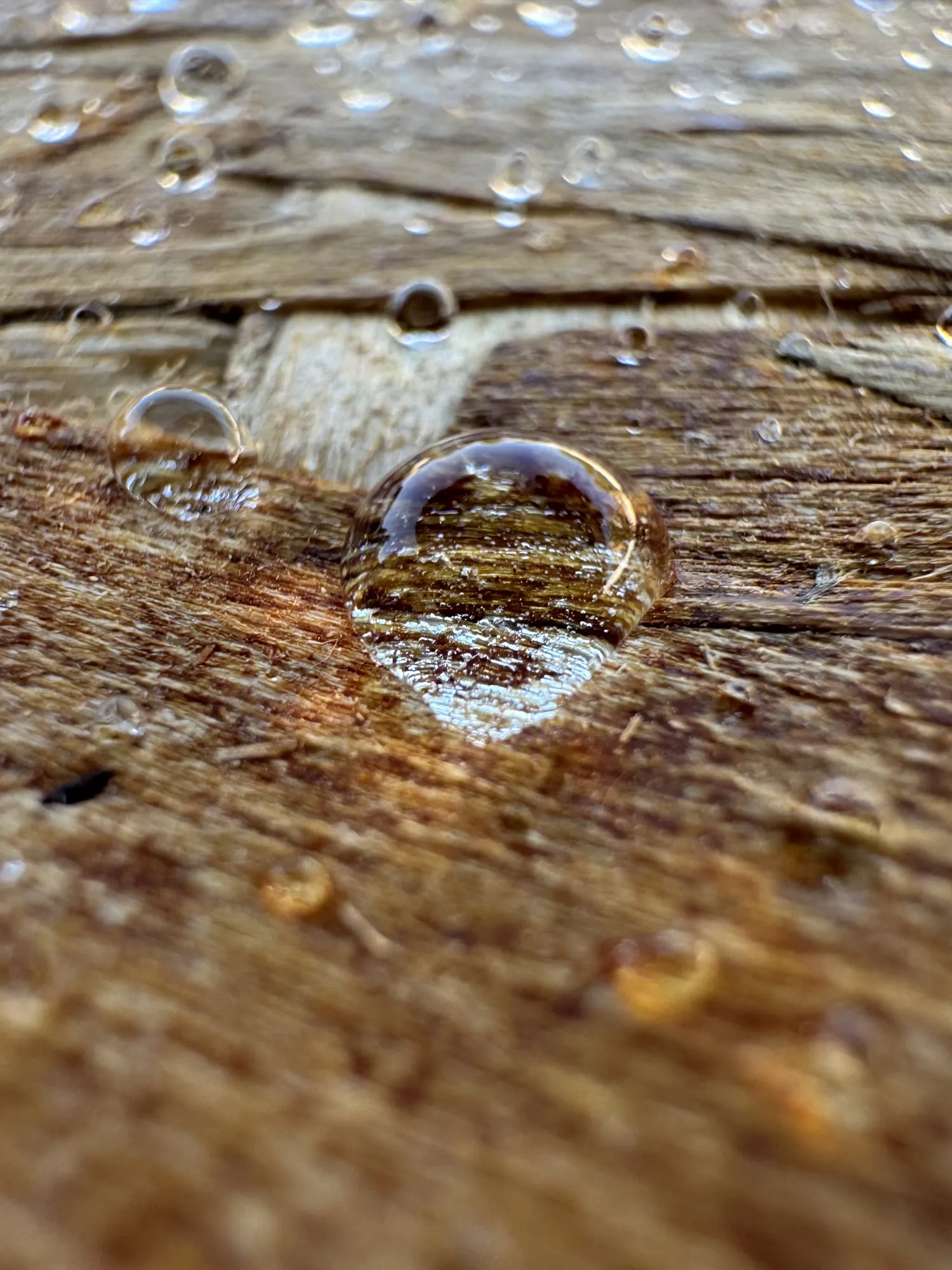 Water beading on a NexaNano-treated deck board