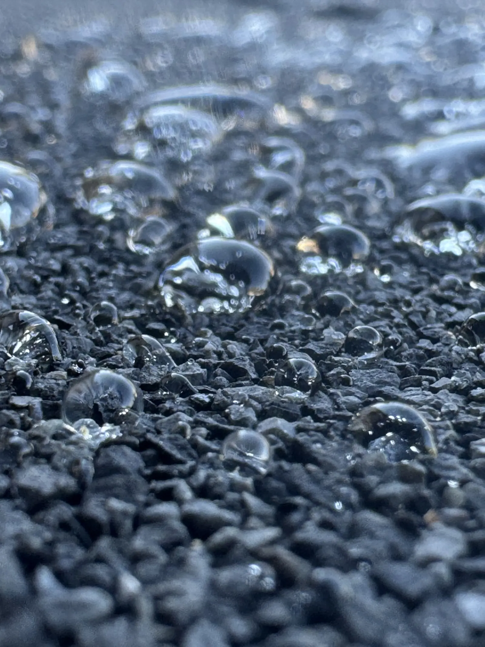 Water beading on a treated asphalt shingle roof